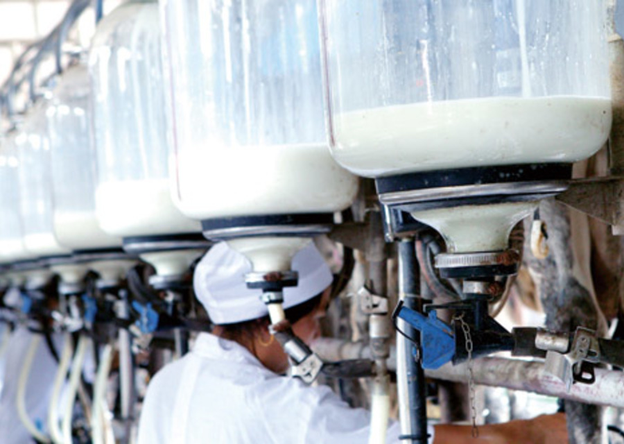 производства сырья для молочного завода