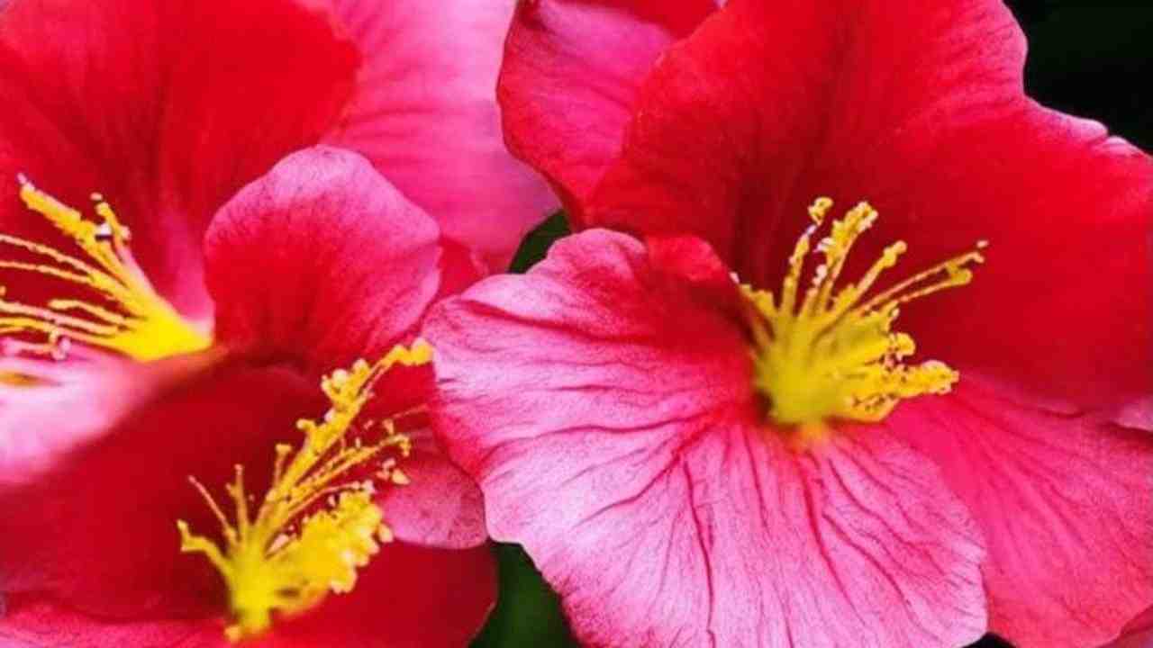 Конструктивные решения